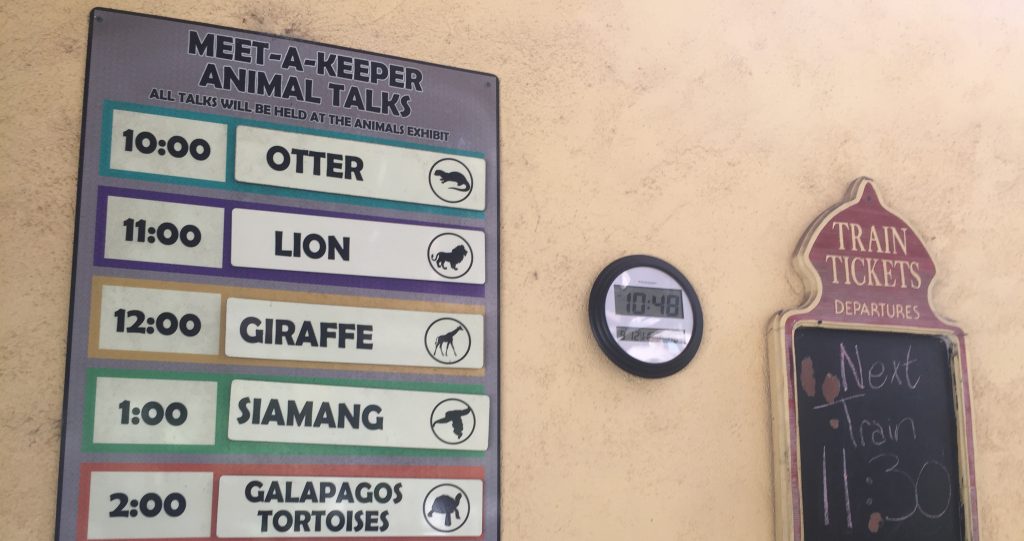 gulf-breeze-zoo-meet-a-keeper