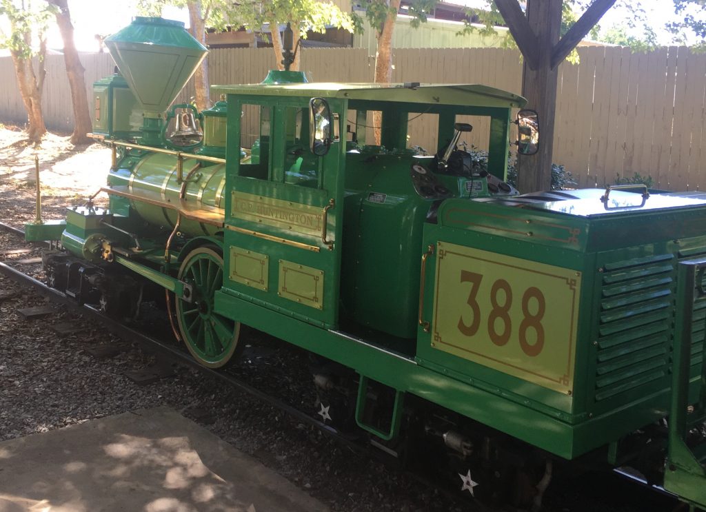 gulf-breeze-zoo-train-ride